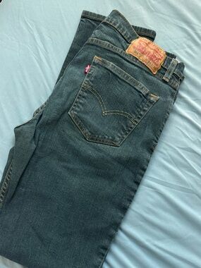 Levi’s Men Skinny Jeans